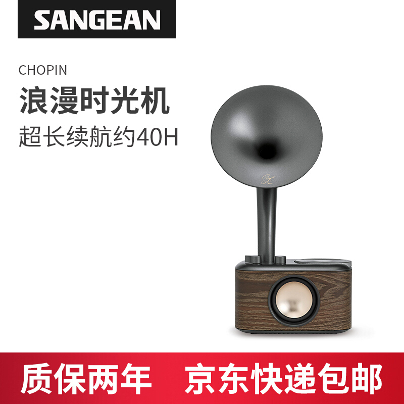 Sangean Chopin Radio & Bluetooth Speaker